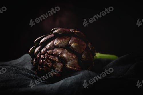 Preview: Fresh raw purple artichokes. On dark background.