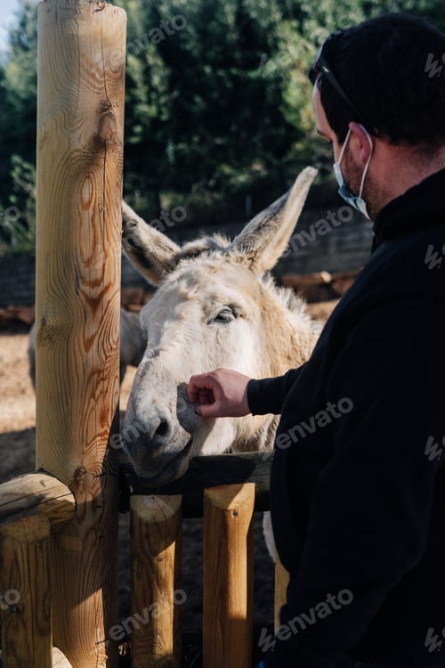 Preview: Young farmer caressing a donkey