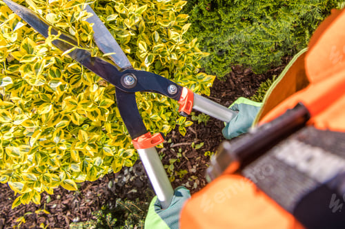 Preview: Gardener Plants Trimming Job