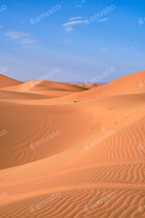 Preview: Sand dunes and blue sky in the Sahara desert, Morocco