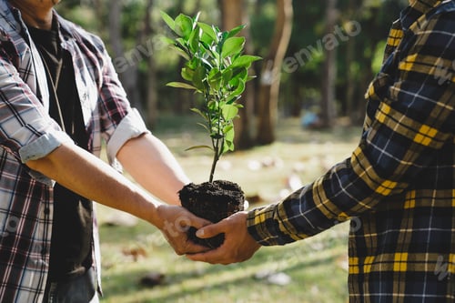 Preview: Two men planting a tree concept of world environment day planting forest, nature, and ecology A youn
