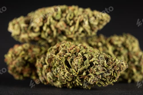 Preview: Marijuana flower bud for smoking