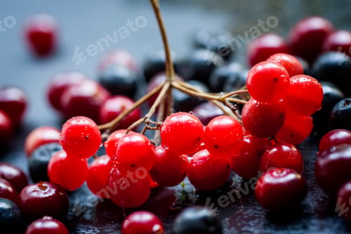 Vista previa: Cranberry, cranberries, cranberry and chokeberry on a dark stone wet background
