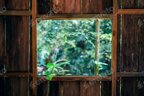 Preview: A beautiful view of summer from the old rustic wooden window