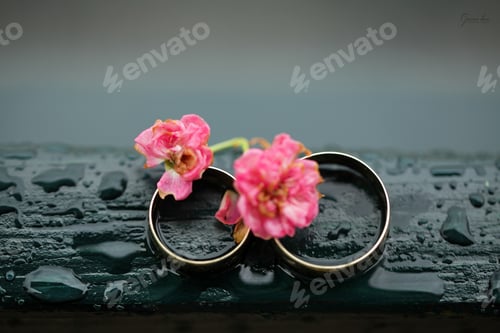 Preview: Engagement rings on rainy wood