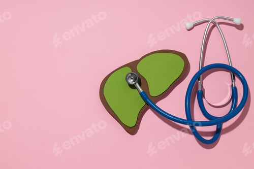 Preview: Paper mockup of liver and stethoscope on pink background, space for text