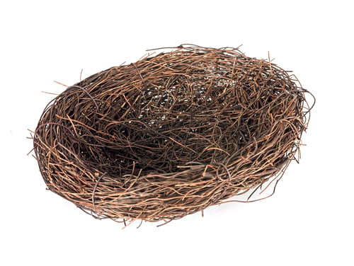 Preview: nest in studio