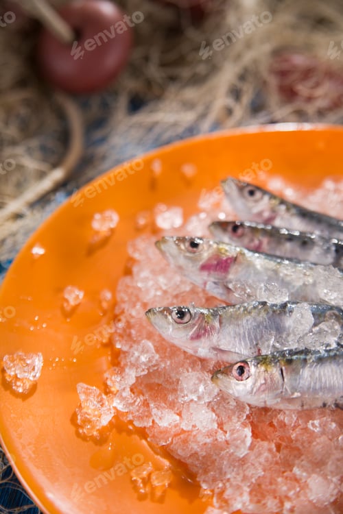 Preview: Fresh anchovies on a bed of ice