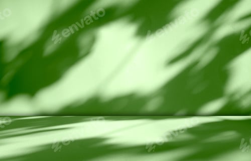 Preview: Background green shadow floor studio room photo