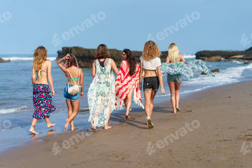 Preview: rear view of group of young women walking by beach