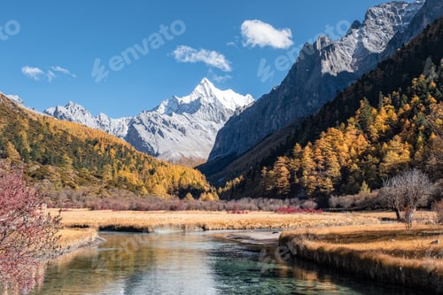 Preview: Last Shangri-La of Chana Dorje mountain with colorful pine forest in autumn