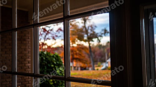 Preview: Transparent glass window inside the home with a view of autumn trees and plants