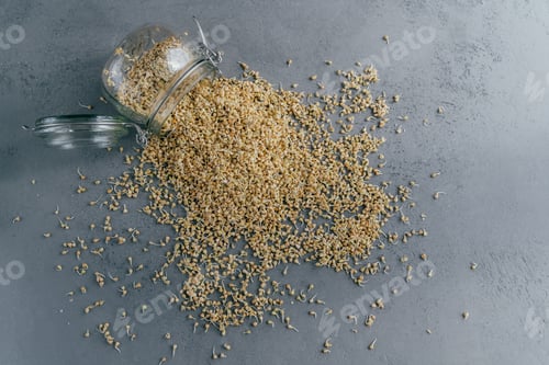 Preview: sprouted green buckwheat spilled from glass jar. Uncooked germinated seeds for dieting