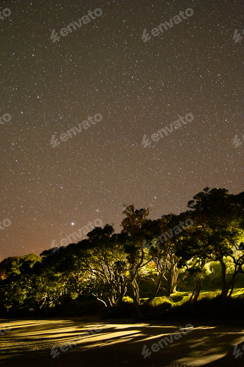 Preview: Starry night sky over illuminated trees beside a road, Northland, New Zealand