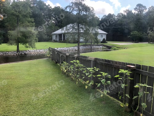 Preview: Plants along a wooden fence.