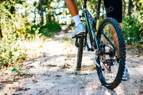 Preview: Mountain cyclists sitting on bicycles