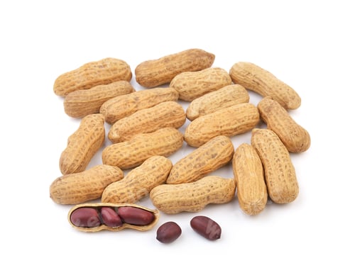 Peanuts in Shells and Out on White Background
