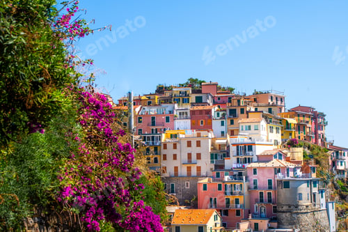 Preview: Multicolored houses. Manarola Italian village Cinque Terre Liguria Italy. Summer nature