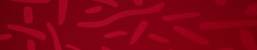 Preview: Beautiful red background for design. Copy space. Banner for site
