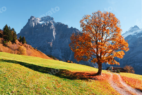 Preview: Picturesque autumn landscape in Grindelwald village