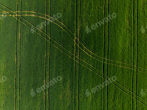 Preview: Tractor patterns in farming fields from drone