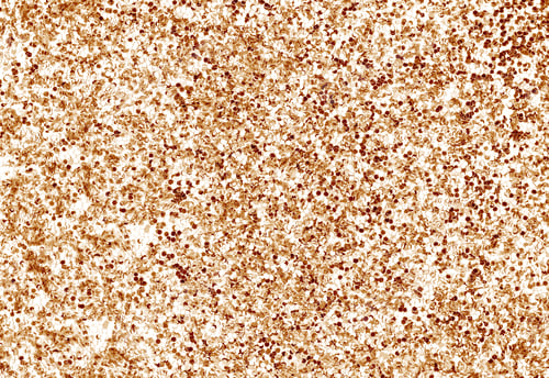 Preview: Gold glitter texture background, sparkle holiday background