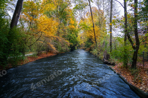 Preview: Englischen Garten Park during autumn - Munich, Bavaria, Germany