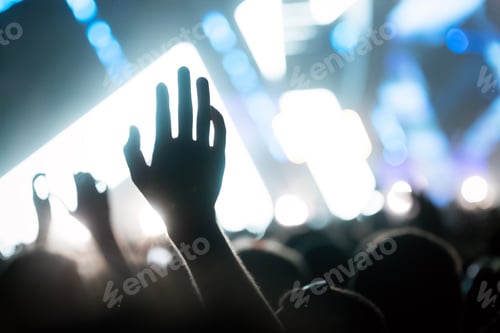 Preview: Picture of dancing crowd at music festival