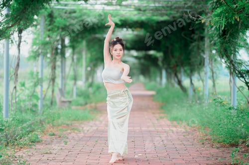 Preview: chinese dancing