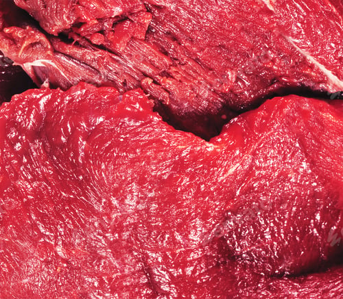 Preview: fresh raw beef meat