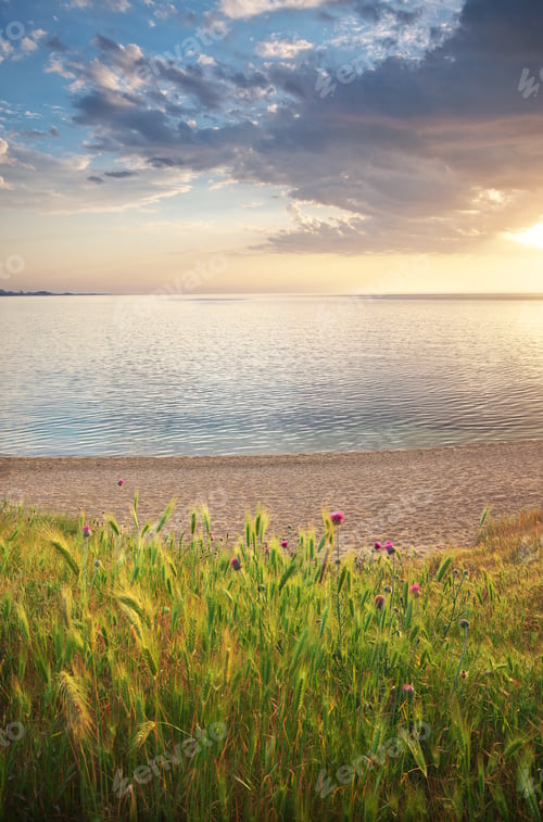 Preview: Beautiful nature and seascape.