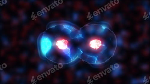 Preview: Cell Division, generic cell dividing with copy space, stem cells dividing