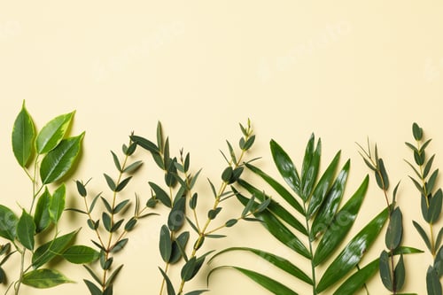 Preview: Concept of summertime, leaves, summer and nature concept