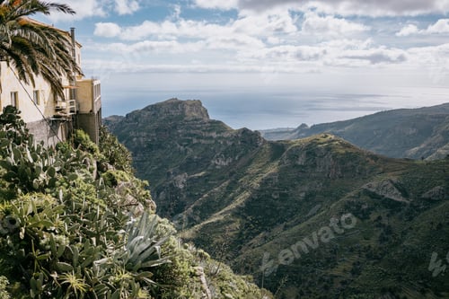 Preview: Palm tree growing out of a cliff in front of the ocean, La Gomera, Canary Islands, Spain