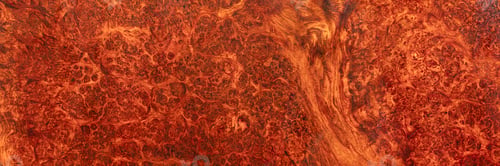 Preview: Natural Afzelia burl wood stripe is a wooden pattern