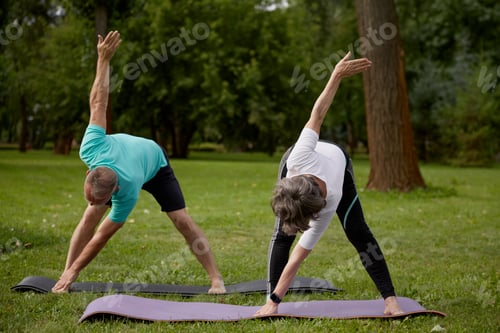 Preview: Senior couple doing warm-up exercises during physical therapy class on nature