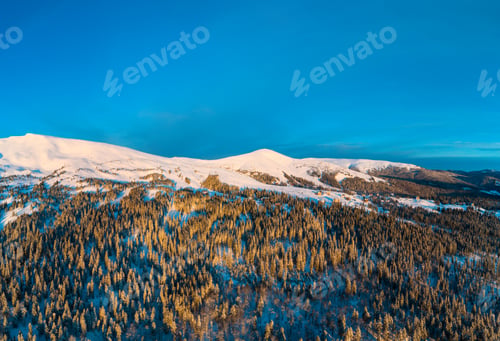 Preview: Stunning winter panorama with trees and hills