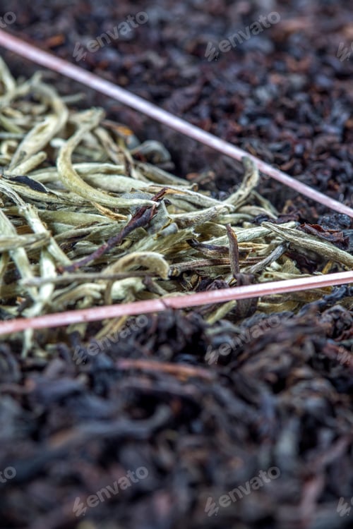 Preview: Sri Lankan teas