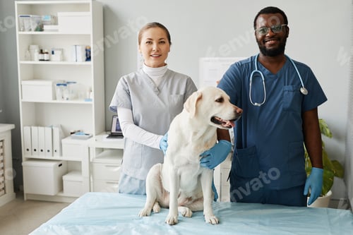 Preview: Two young cheerful intercultural veterinarians and labrador pet