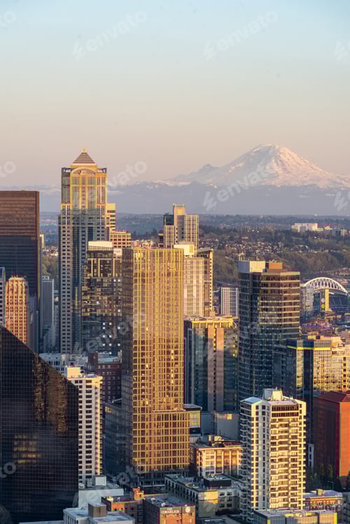 Preview: Vertical view of the cityscape of Seattle in the USA