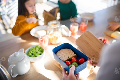 Preview: Close-up of mother preparing snack to lunch box in kitchen at home