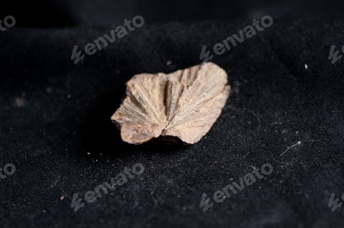 Preview: maricite mineral sample