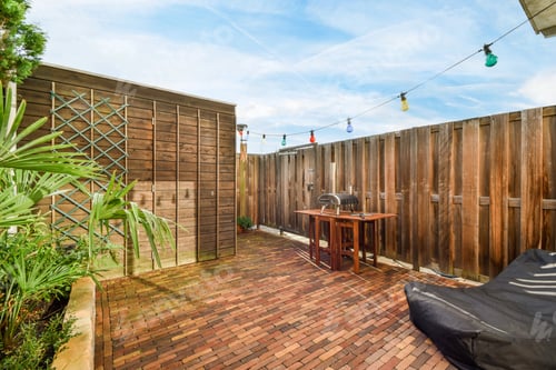 Preview: Large house backyard