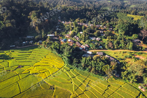 Preview: evening rice fields in the countryside