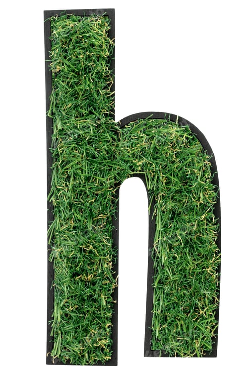Preview: Letter H made of green grass isolated on white.