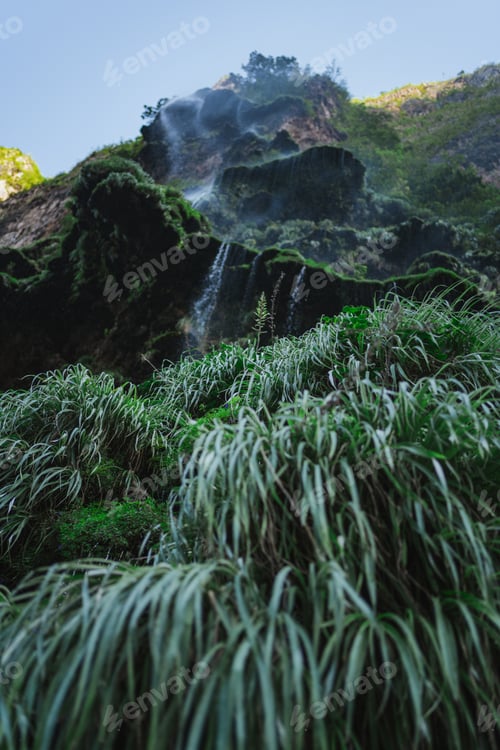 Preview: Close up shot of vegetation of Christmas Tree Waterfall in Sumidero Canyon in Chiapas, Mexico