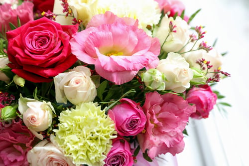 Preview: Beautiful fresh flowers on light background, closeup. Floral decor