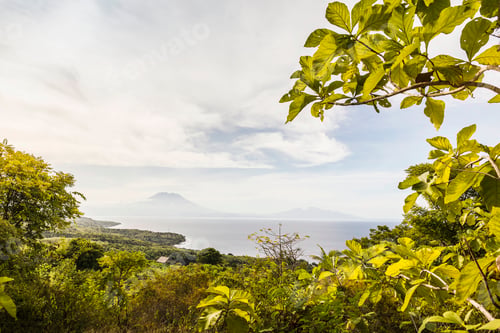 Preview: View of mist over sea through foliage, Sampaln, Nusa Penida, Indonesia