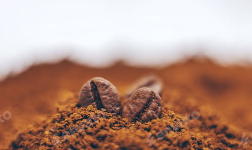Preview: Coffee beans roasted close-up. Drink. Selective focus.