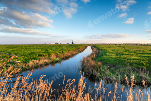 Preview: Looking out over Halvergate Marshes to Mutton's Mill